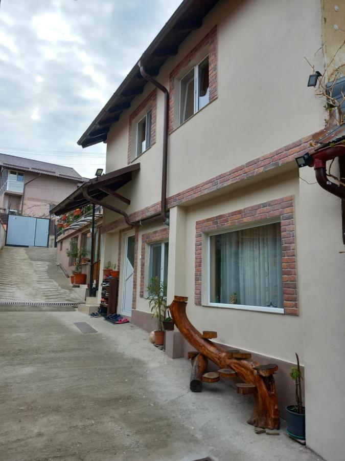 Casa Rariana Hotel Călimăneşti Exterior foto