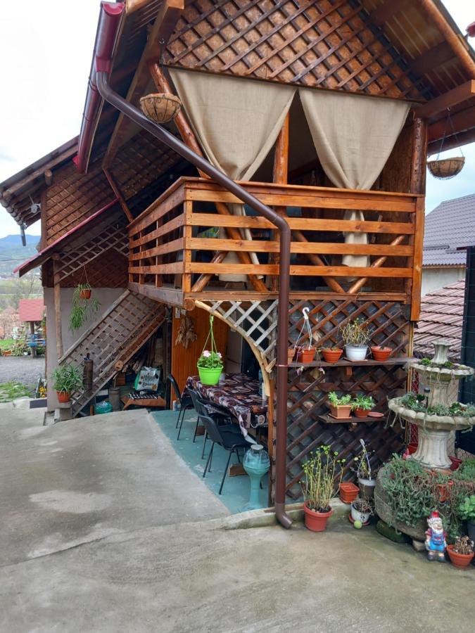 Casa Rariana Hotel Călimăneşti Exterior foto